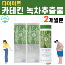 카테킨 녹차추출물 녹차 다이어트 체지방 뱃살 나이아신 판토텐산 비오틴 와일드망고 히비스커스 유산균 블랙커런트 비피도박테리움 롱검 감초 생각 허브 추출물