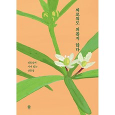 외로워도 외롭지 않다 -정호승의 시가 있는 산문집