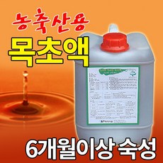 속초엑스포유람선