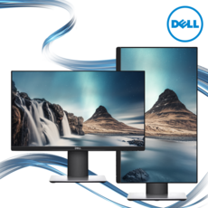 DELL 프로페셔널 P2219H 22인치 IPS LED 모니터 광시야각 피벗 2021년식, dell P2219H A급, 546.1mm