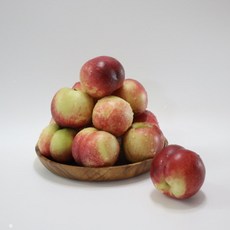 신비 납작이 딱딱이 말랑이 황도 백도 대극천 거반도 하우스 과즙 복숭아 비타민 과일, 의성 말랑이 복숭아(백도/황도), [특가] 중과 12-14과 (4kg), 1개