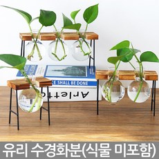 수경재배유리병