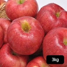 열매나무 열매나무 못난이 홍로사과 3kg(1박스), 1개