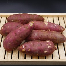 청춘마켓 해남 황토 꿀고구마 3kg 5kg 10kg 산지직송 베니하루카, 1box, 꿀밤 고구마 한입 3kg