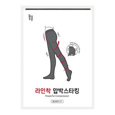 일상공감 라인착 압박스타킹