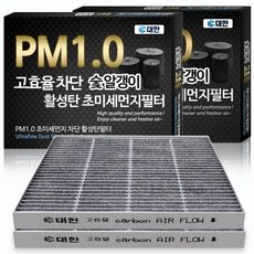 대한카필터 PM1.0 활성탄 에어컨필터, KC118, 2개
