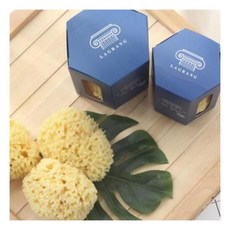 라그랑천연해면