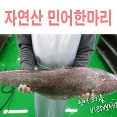 민둥산