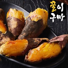 공영쇼핑밤호박
