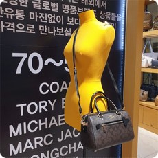 코치토트백