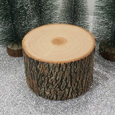 동화마루사하라라이트