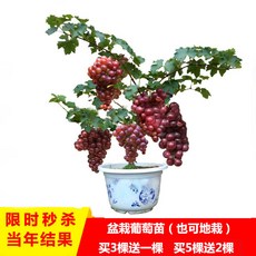 279db5f9b4c4bf54e6b4076ee98e2088babed8472a05955325b88bce6178.jpg