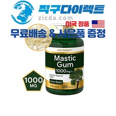 [직구다이렉트 무료배송&사은품 증정] 식물성 천연위장약 매스틱검 위염 역류성식도염 영양제 120캡슐, 2병, 1000mg 120캡슐