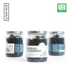 착한습관 유기농 건블루베리 용기 250g, 3개