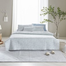 60수아사스프레드