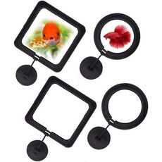 RIENER 4pcs 검은 물고기 먹이고리 부유식 사각형 플레이크와 금붕어용 원형과, RIENER 4pcs 검은 물고기 먹이고리 부유식 사각, 4개