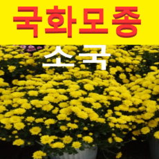4b2fadfd0d11238a0c5696f186839bed8f19da590abae61e7db3cf50221b.png