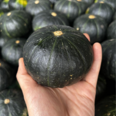 제주 세척 미니밤호박 단호박 보우짱, 제주 보우짱 세척 못난이, 1개, 3kg
