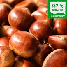 [재구매율1등]공주에서 첫수확한 유기농 끝판왕 명품 옥광밤, 1세트, 1kg