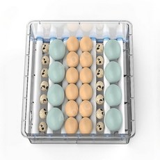 병아리 부화 자동 산란통 알 메추리 부하기 닭 계란, 부화기 - 36개형, 1개