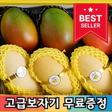 [설선물추천] 명품 골드 애플 망고 과일 선물세트, 1박스, 망고세트 6호 (골드망고 5kg)