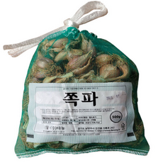 쪽파종구5kg