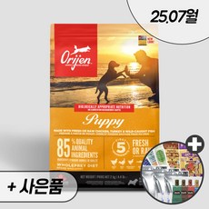 오리젠 퍼피 독 + 우리집상전 사은품, 2kg, 1개, 닭 - 오리젠퍼피