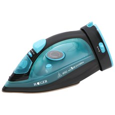 독일바이마르스팀다리미