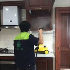 핸디형 스팀 청소기 건 수도관 녹이기 강력 고압 후드, 본체, 1개