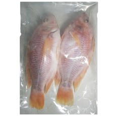 냉동 레드 틸라피아 900g