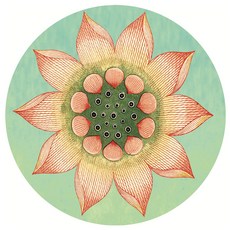 55871e8de4d77d0c318d49b03a43535098044b84fe9ab2f6080877df6646.jpg