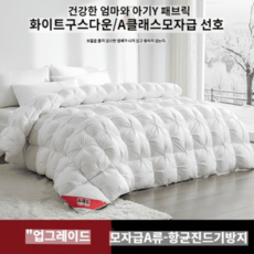 헝가리구스다운쿠션