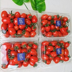 국내산 대추방울토마토 750g x 2팩, 2개, 단품