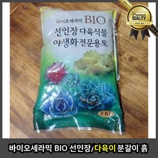 155c09eefa49b73914cbabba8afafab712dcd43ca2c336556d5f30272bdd.jpg