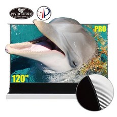 비비드스톰스크린