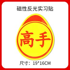 운전의고수