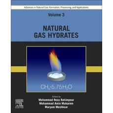 (영문도서) Advances in Natural Gas: Formation Processing and Applications. Volume 3: Natural Gas Hydrates Paperback, Elsevier, English, 9780443192197