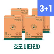 영롱 비건 효모 비타민D 2000IU 4개, 30정