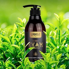 자담유맥틴맥주효모비오틴탈모샴푸펌프형