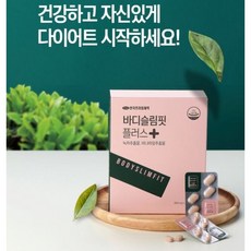 덴마크다이어트