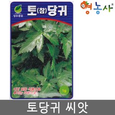 토당귀씨앗 1g, 토당귀, 토당귀