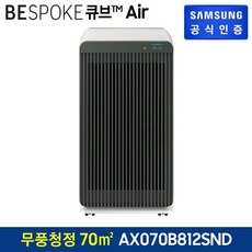 삼성비스포크큐브에어
