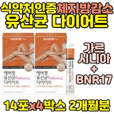 체온다이어트
