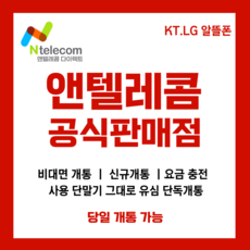 앤텔레콤 선불폰 후불폰 알뜰폰 kt lg 공식 정품 선불유심, KT선불유심(KT정지폰 사용 불가) - 동양텔레콤