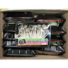 참느타리버섯 200g 60개