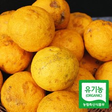 국내산 완도 유기농 생유자 햇유자 고흥 유자생과 2kg 못난이 3kg 5kg 산지직송, 유기농 못난이 생유자 2kg