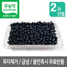 아로니아생과10kg