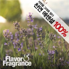 엘라프렌시스샌더스