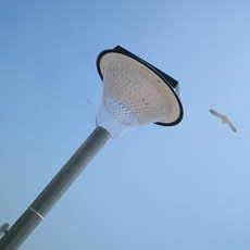 1f7c7dc95d8a70e50c31cbcbf8bd7ea1449978d4bf363d0b4754385e5b22.jpg
