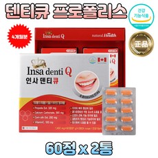 프로폴리스 비타민씨 덴탈 면역 관리 해썹 인증 식품 벌집 꿀벌 플라보노이드 풀라보노이드 항균 향균 입속 천연 슈퍼푸드 폴라보노이드 프로풀리스 아연 항산화 증진 잇몸 구강 치아 입안